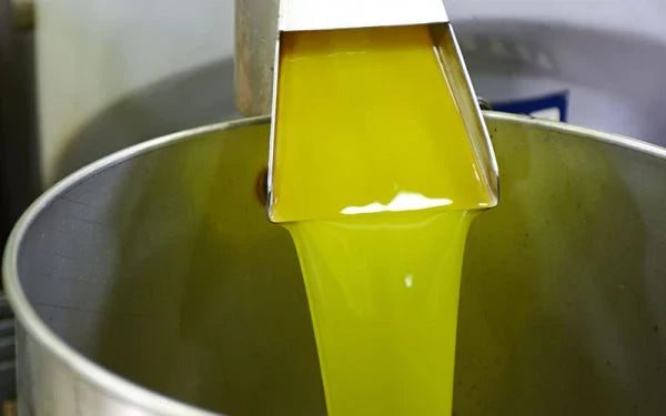 First Press Olive Oil: Everything You Need to Know
